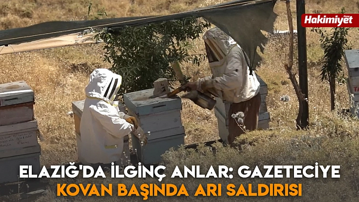 Elazığ'da ilginç anlar: Gazeteciye kovan başında arı saldırısı
