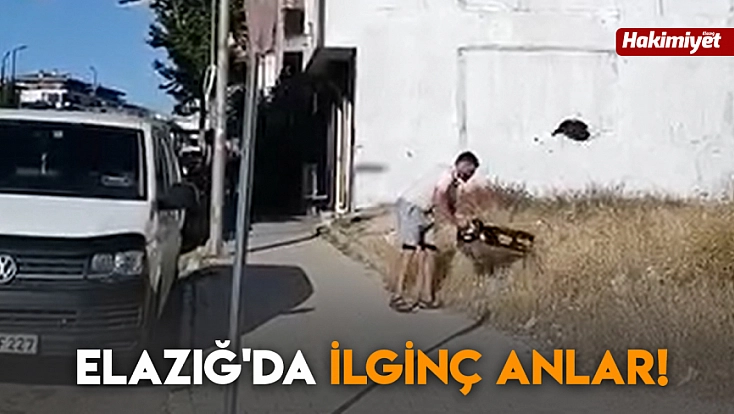 Elazığ'da ilginç anlar!