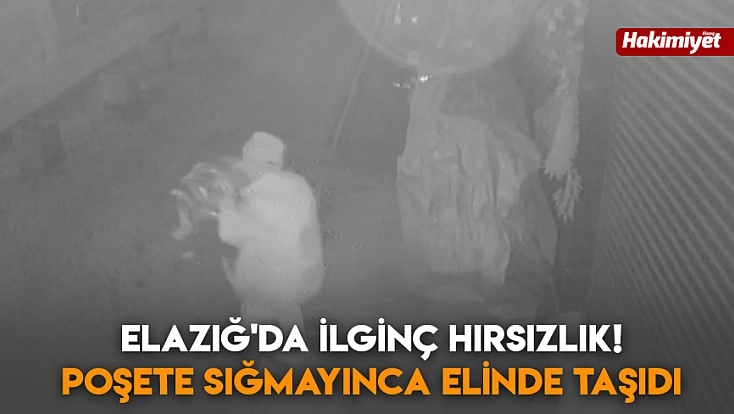 Elazığ'da ilginç hırsızlık! Poşete sığmayınca elinde taşıdı