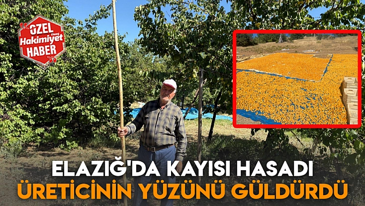 Elazığ'da kayısı hasadı üreticinin yüzünü güldürdü