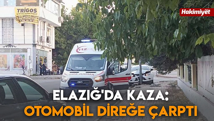 Elazığ'da kaza: Otomobil direğe çarptı