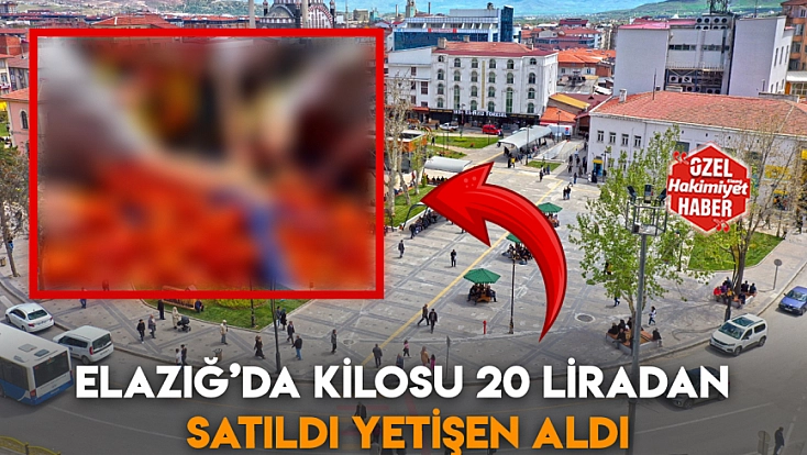 Elazığ’da kilosu 20 liradan satıldı yetişen aldı