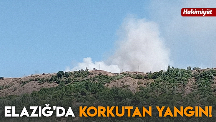 Elazığ'da korkutan yangın!