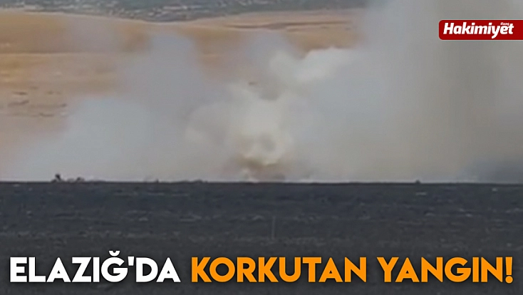 Elazığ'da korkutan yangın!