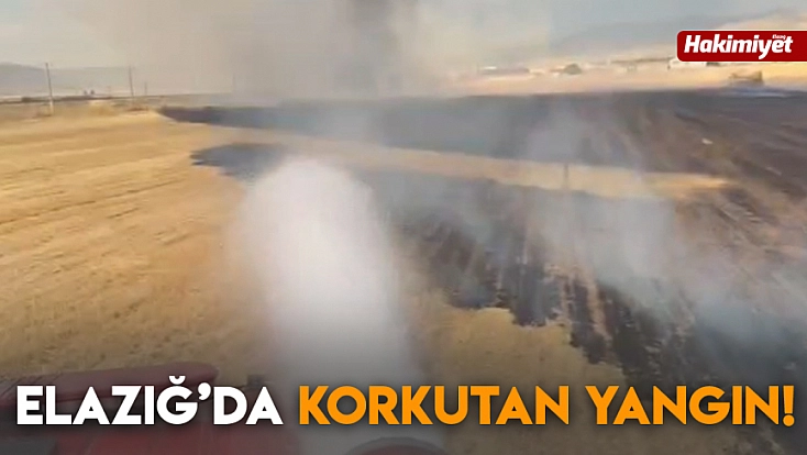 Elazığ'da korkutan yangın!