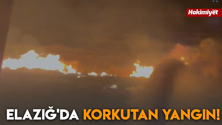 Elazığ'da korkutan yangın!