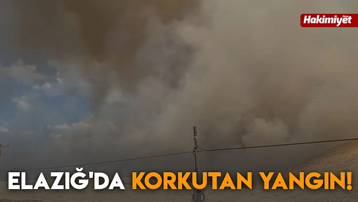 Elazığ'da korkutan yangın!