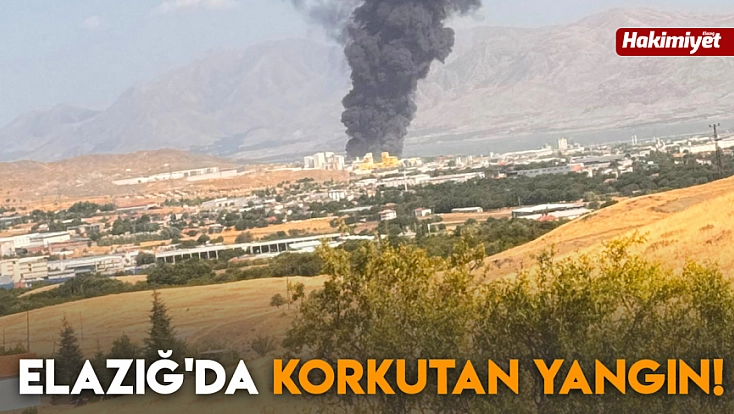 Elazığ'da korkutan yangın!