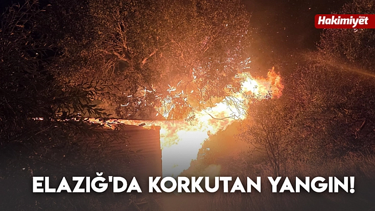 Elazığ'da korkutan yangın!