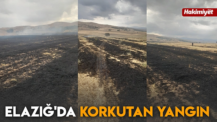 Elazığ'da korkutan yangın