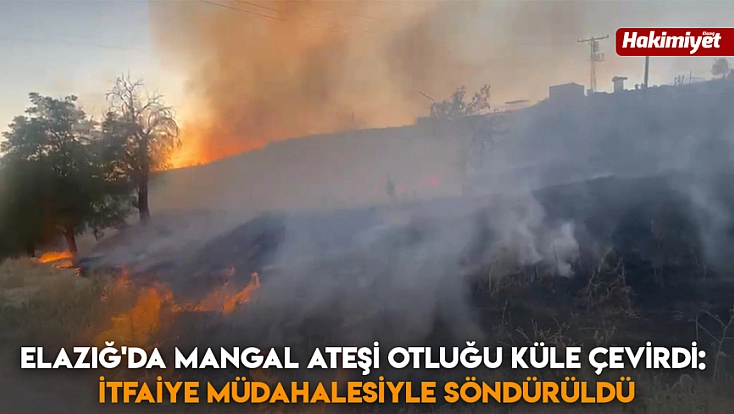 Elazığ'da Mangal Ateşi Otluğu Küle Çevirdi: İtfaiye Müdahalesiyle Söndürüldü