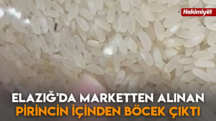 Elazığ'da marketten alınan pirincin içinden böcek çıktı