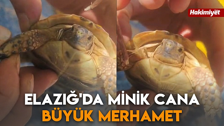 Elazığ'da minik cana büyük merhamet