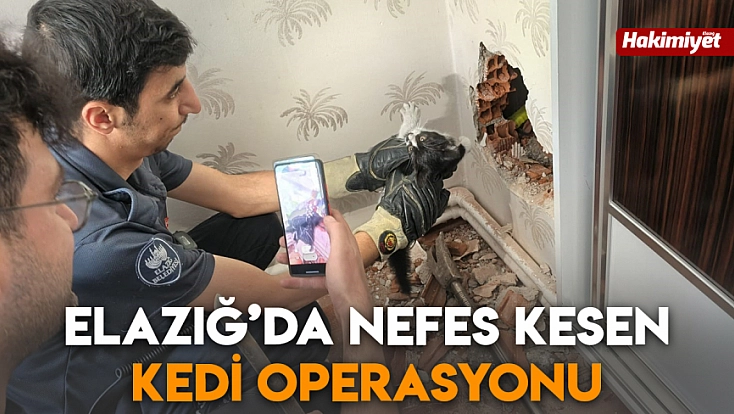 Elazığ’da nefes kesen kedi operasyonu