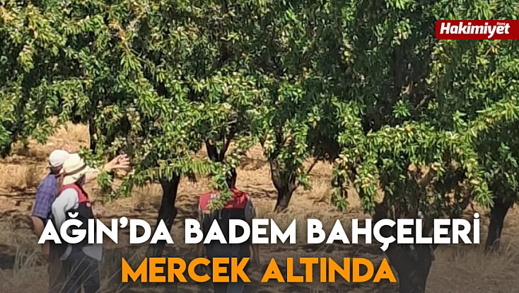Elazığ’da okullarda yeni eğitim öğretim yılı hazırlıkları incelendi