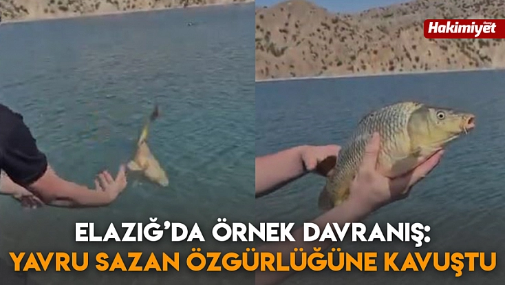 Elazığ’da örnek davranış: Yavru sazan özgürlüğüne kavuştu