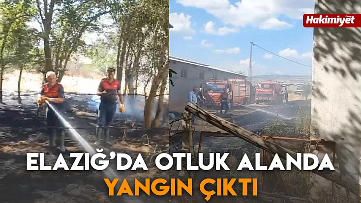 Elazığ’da otluk alanda yangın çıktı