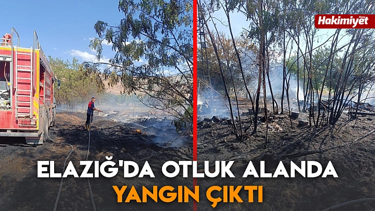 Elazığ'da otluk alanda yangın çıktı