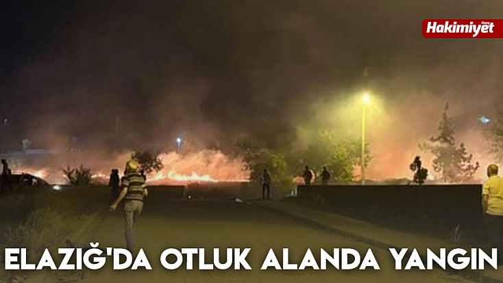 Elazığ'da otluk alanda yangın