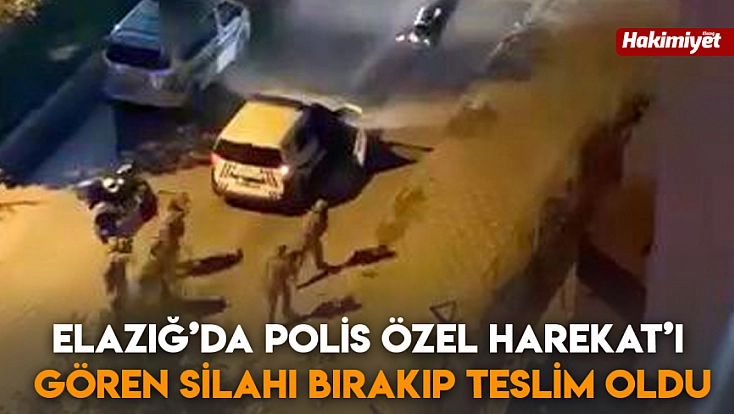 Elazığ’da Polis Özel Harekat’ı gören silahı bırakıp teslim oldu