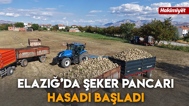 Elazığ’da şeker pancarı hasadı başladı