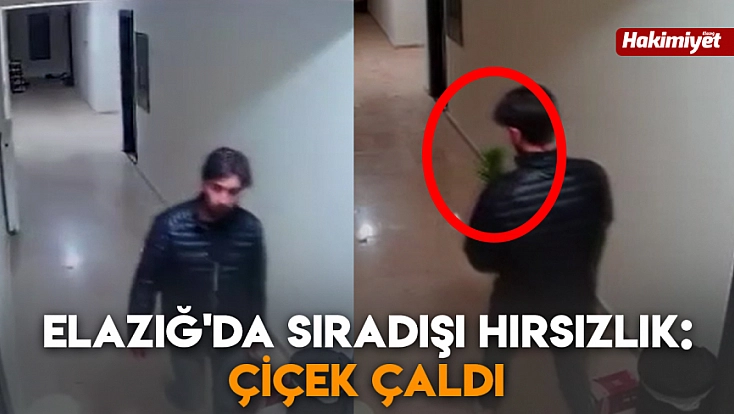 Elazığ'da sıradışı hırsızlık: Çiçek çaldı