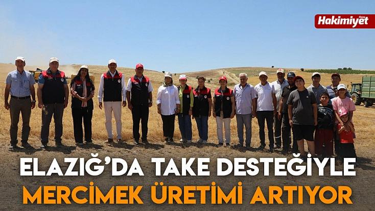 Elazığ’da TAKE desteğiyle mercimek üretimi artıyor