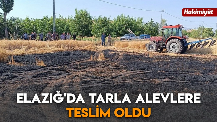 Elazığ'da tarla alevlere teslim oldu