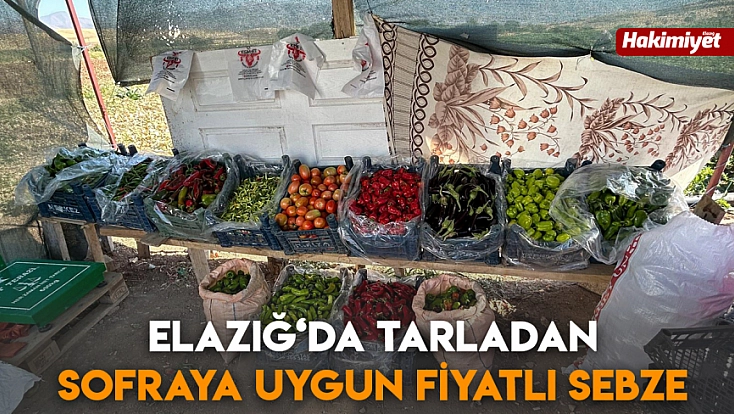 Elazığ‘da tarladan sofraya uygun fiyatlı sebze