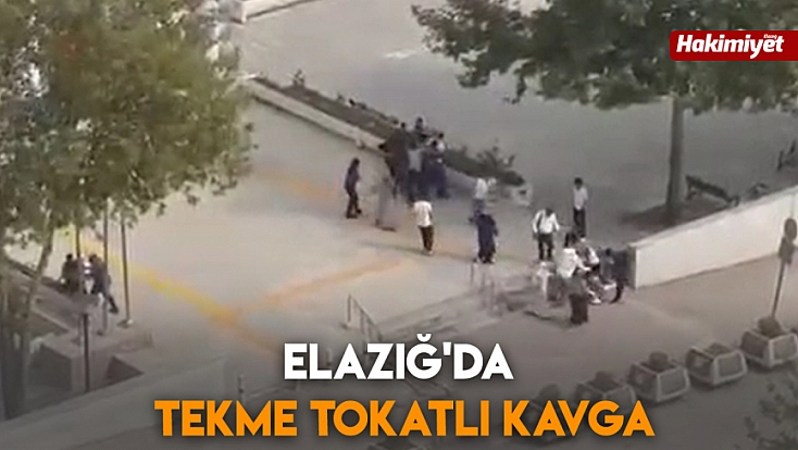 Elazığ'da tekme tokatlı kavga