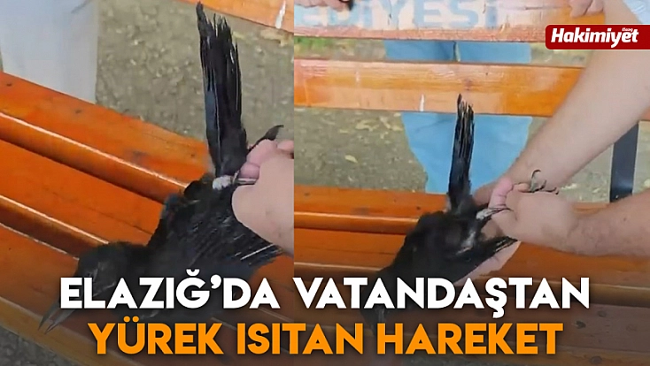 Elazığ’da vatandaştan yürek ısıtan hareket