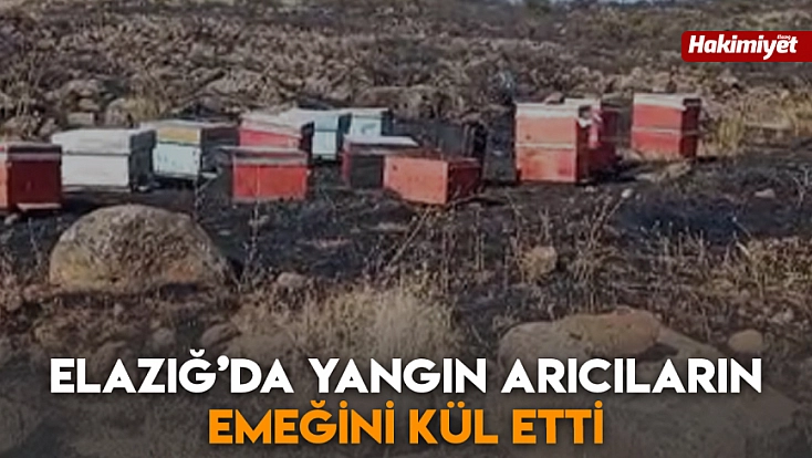 Elazığ’da yangın arıcıların emeğini kül etti
