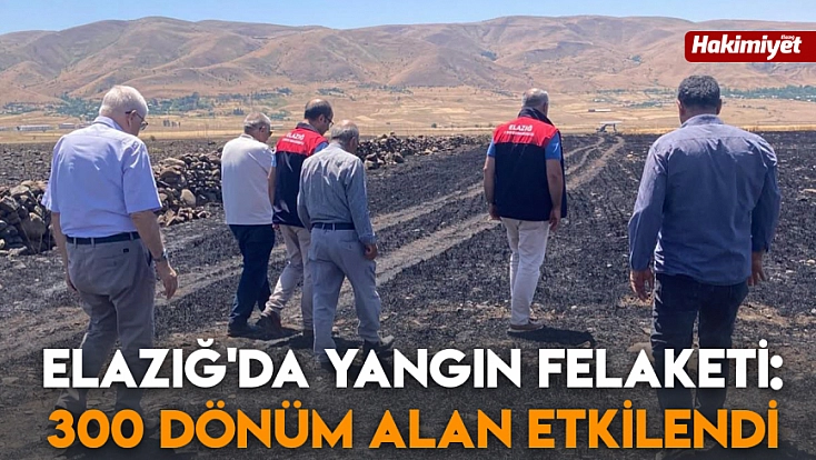 Elazığ'da yangın felaketi: 300 dönüm alan etkilendi
