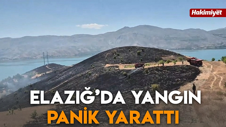 Elazığ’da yangın panik yarattı