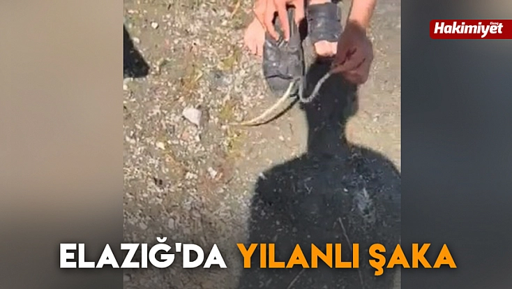 Elazığ'da yılanlı şaka