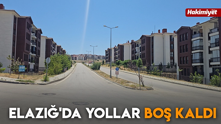 Elazığ'da yollar boş kaldı