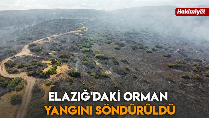 Elazığ'daki orman yangını söndürüldü