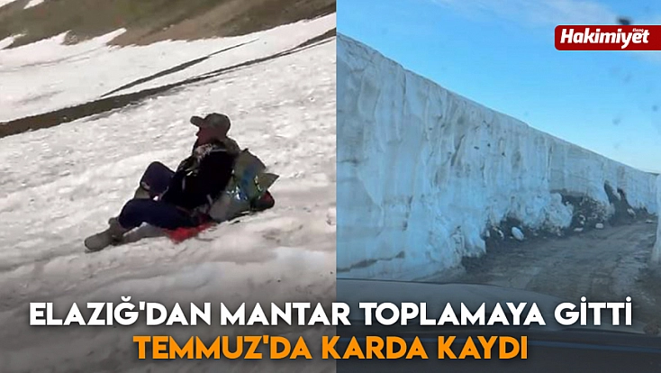 Elazığ'dan mantar toplamaya gitti, Temmuz'da karda kaydı