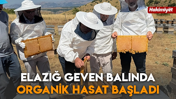 Elazığ geven balında organik hasat başladı