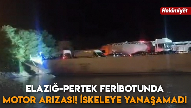 Elazığ-Pertek feribotunda motor arızası! İskeleye yanaşamadı