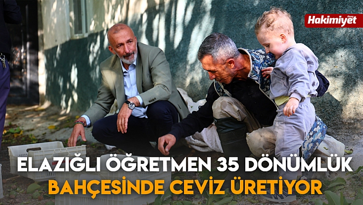 Elazığlı öğretmen 35 dönümlük bahçesinde ceviz üretiyor