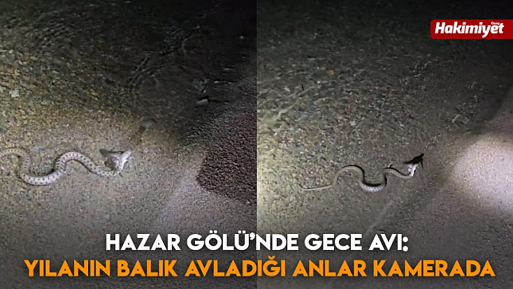 Hazar Gölü’nde Gece Avı: Yılanın Balık Avladığı Anlar Kamerada