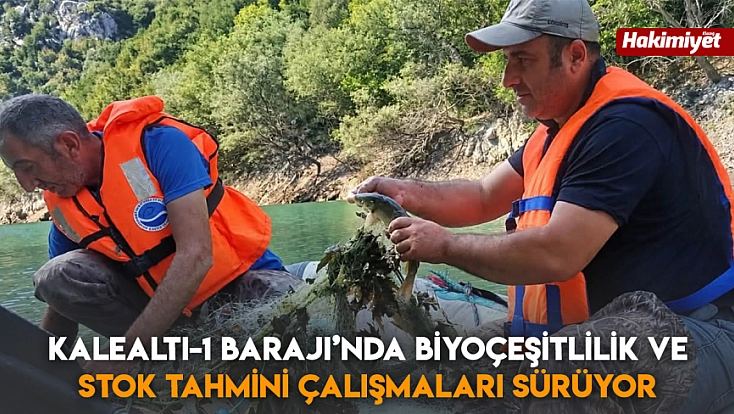 Kalealtı-1 Barajı’nda biyoçeşitlilik ve stok tahmini çalışmaları sürüyor