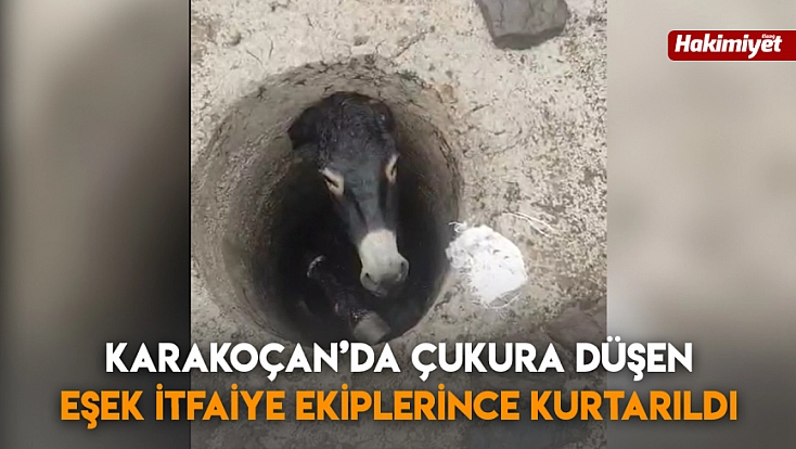 Karakoçan’da çukura düşen eşek itfaiye ekiplerince kurtarıldı