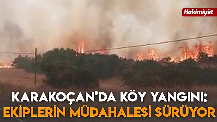 Karakoçan’da köy yangını: Ekiplerin müdahalesi sürüyor