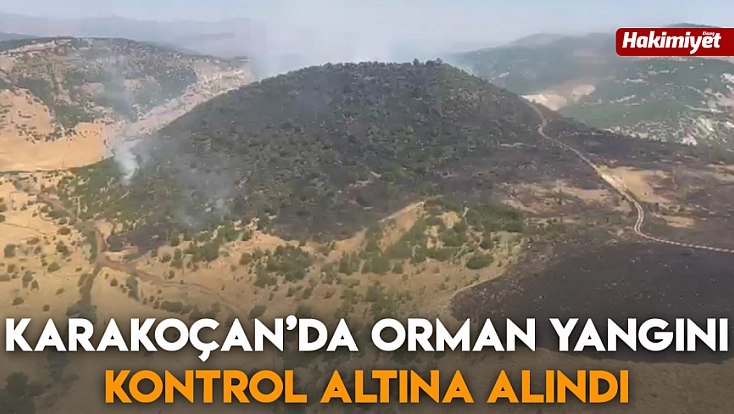 Karakoçan’da orman yangını kontrol altına alındı
