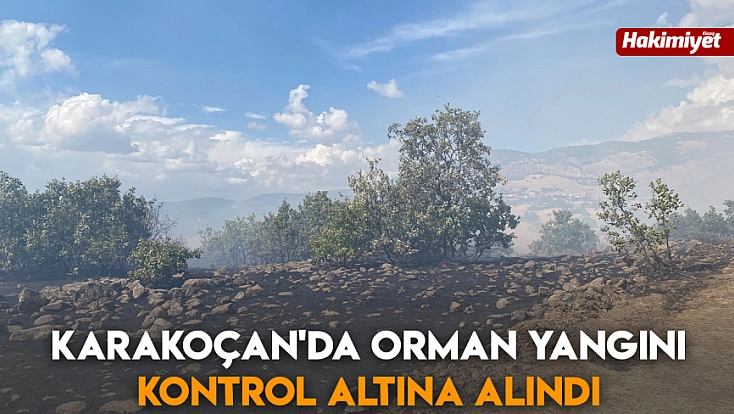 Karakoçan'da orman yangını kontrol altına alındı