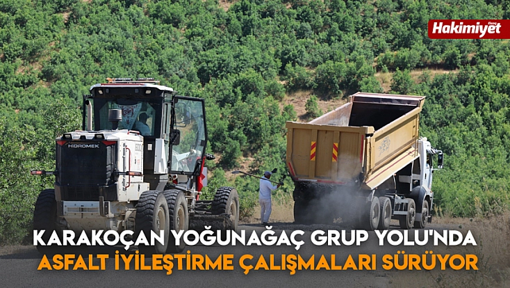 Karakoçan Yoğunağaç Grup Yolu'nda Asfalt İyileştirme Çalışmaları Sürüyor