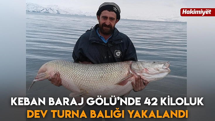 Keban Baraj Gölü’nde 42 kiloluk dev Turna Balığı yakalandı