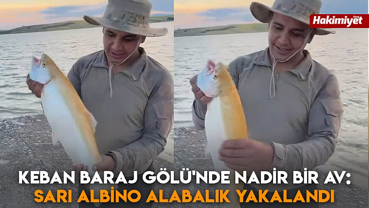Keban Baraj Gölü'nde nadir bir av: Sarı albino alabalık yakalandı